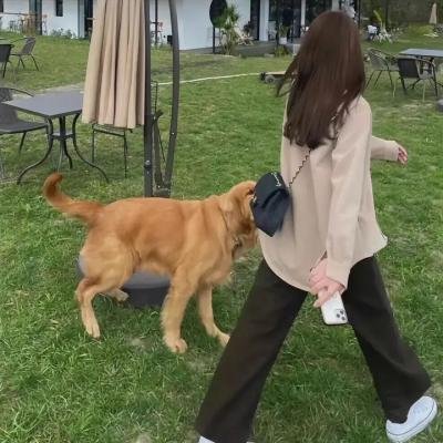 罗布泊之九龙天棺